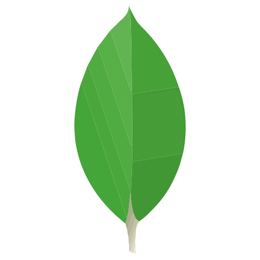 Mongodb